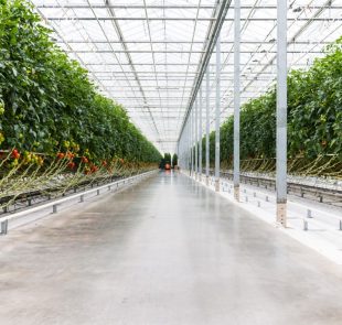 agroindustria