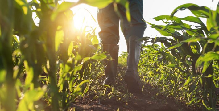 El sector agro: Una oportunidad para el Caribe